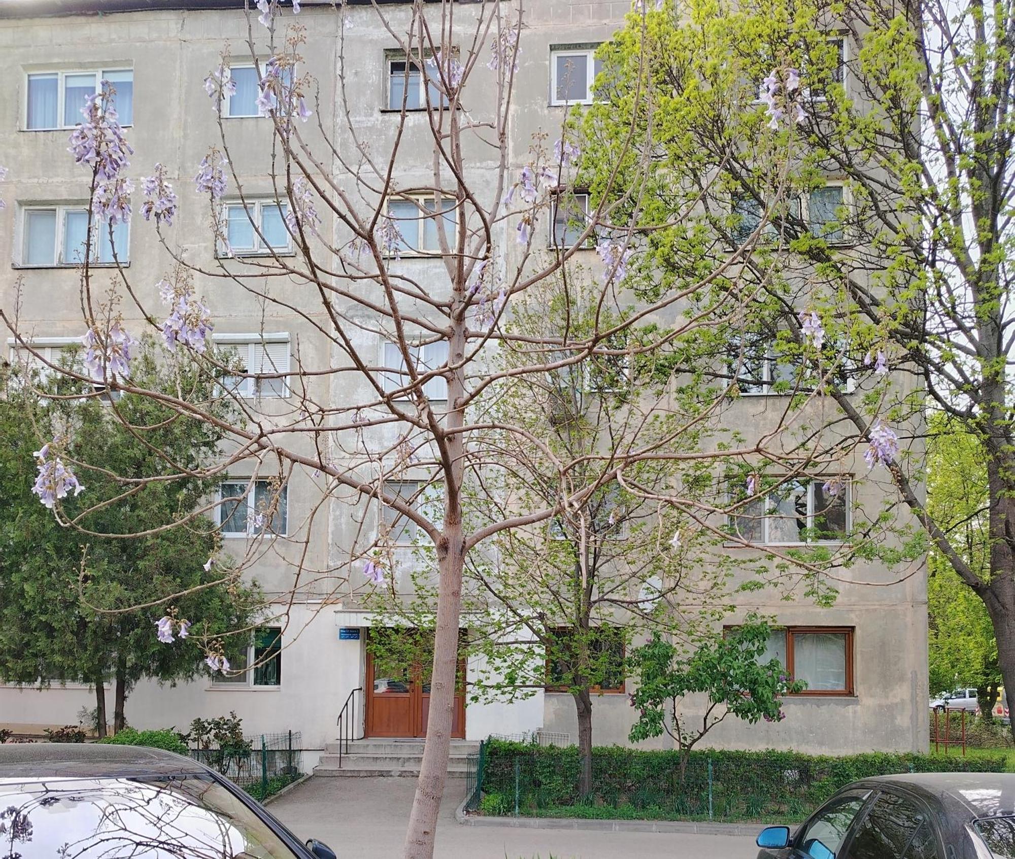 Arka Apartment Крайова Екстериор снимка